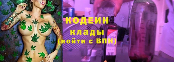 стафф Новодвинск