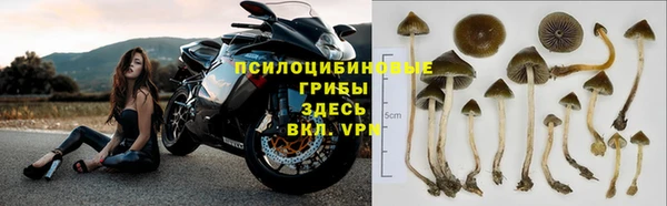 ALPHA-PVP Новокубанск