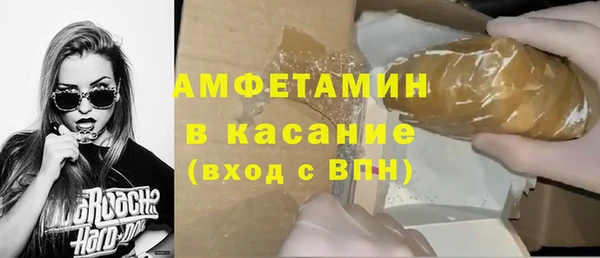 стафф Новодвинск