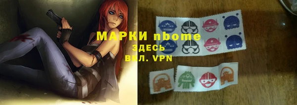 стафф Новодвинск