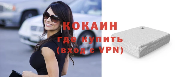 шишки Новозыбков