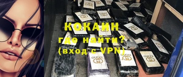 шишки Новозыбков